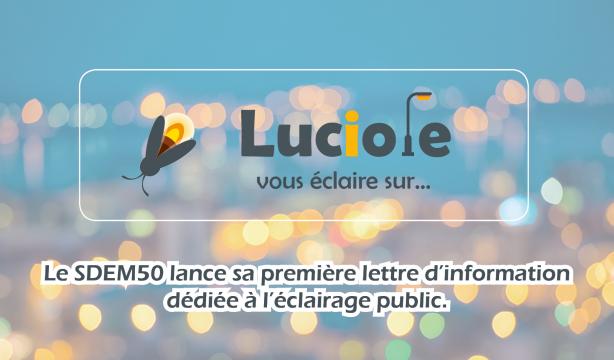 Luciole 