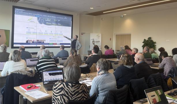 sdem50_eclairage_public_manche