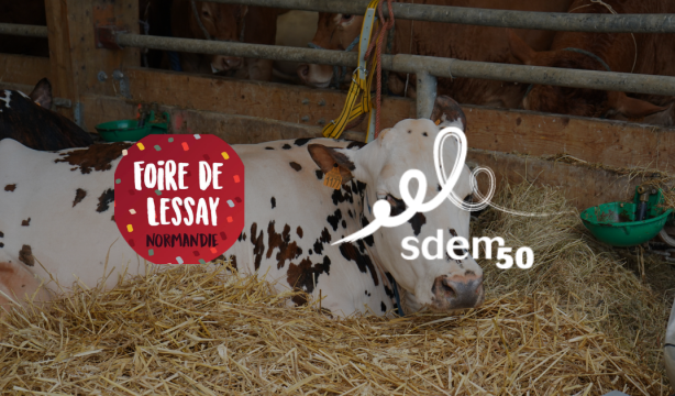foire de lessay sdem50