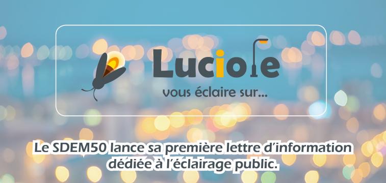 Luciole 