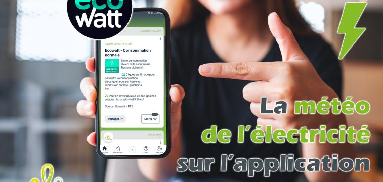 ecowatt