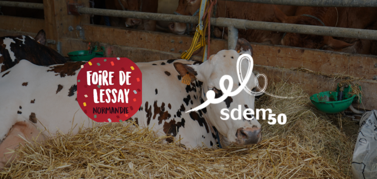 foire de lessay sdem50